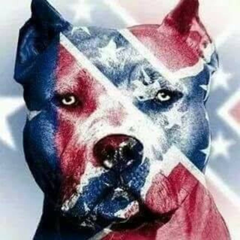 Meet your Posher, Lyle